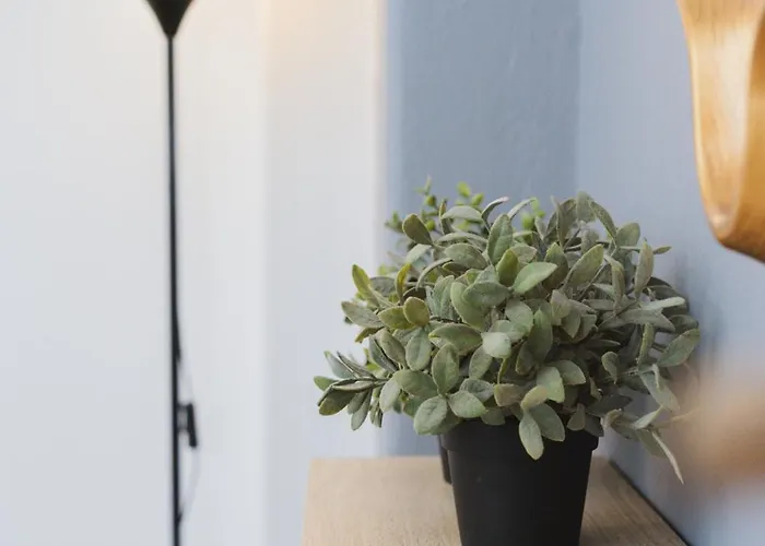 Apartament The Sapling By Nexus, Next To White Tower And Tif *